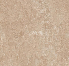 Forbo Marmoleum Marbled Authentic 3141 Himalaya фото 1 | FLOORDEALER